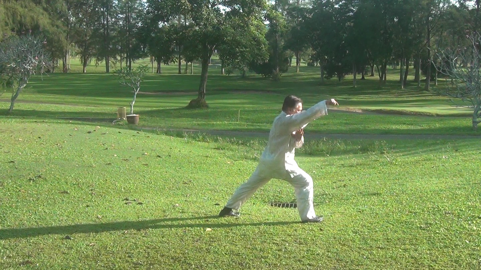 Crushing Fist of Praying Mantis Kungfu in Pictures